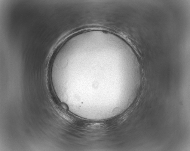 X0000067830151200605041632