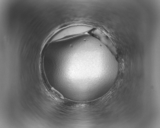 X0000067830152200605041632