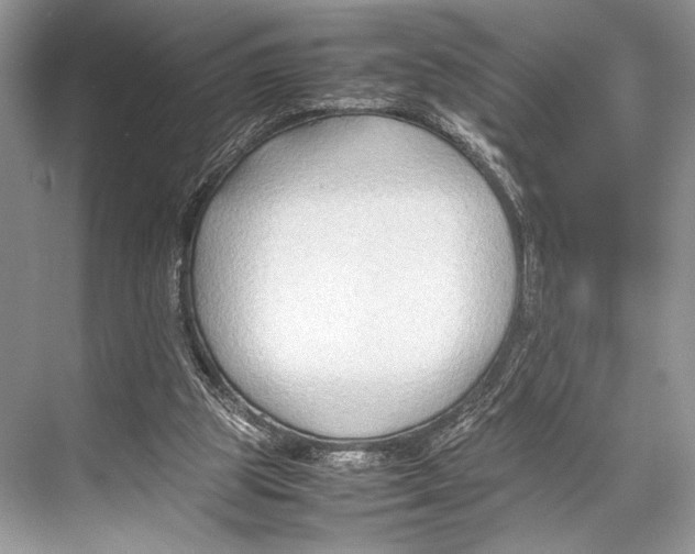 X0000067830153200605041632