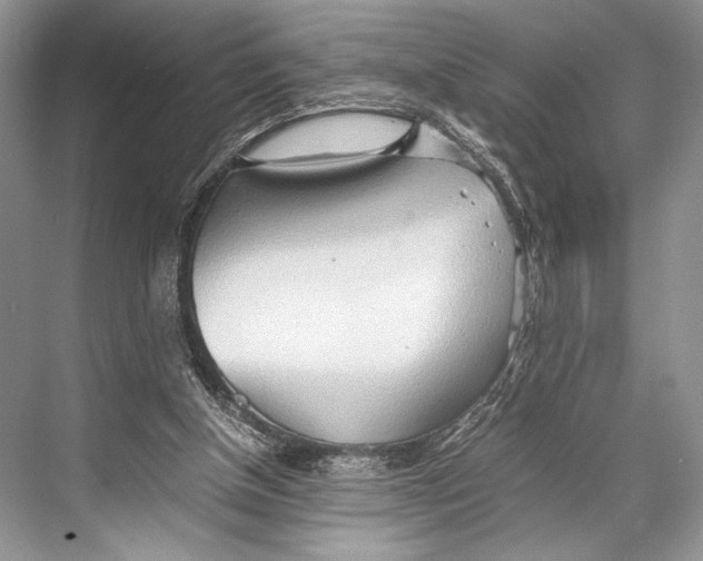 X0000067830154200605041632