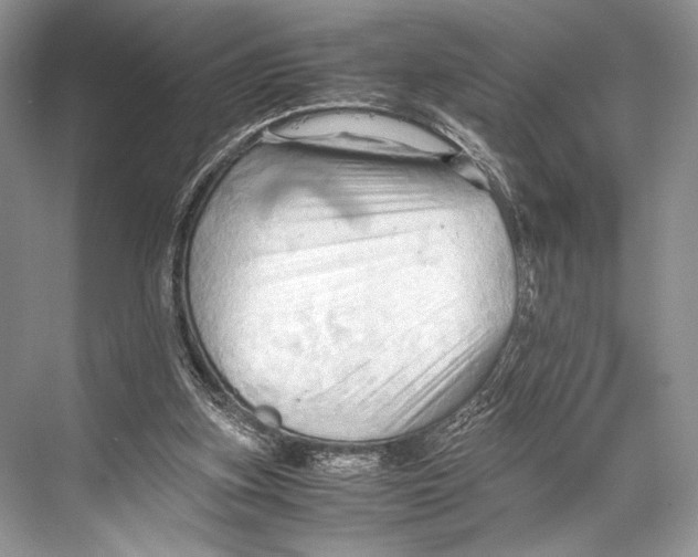 X0000067830155200605041632