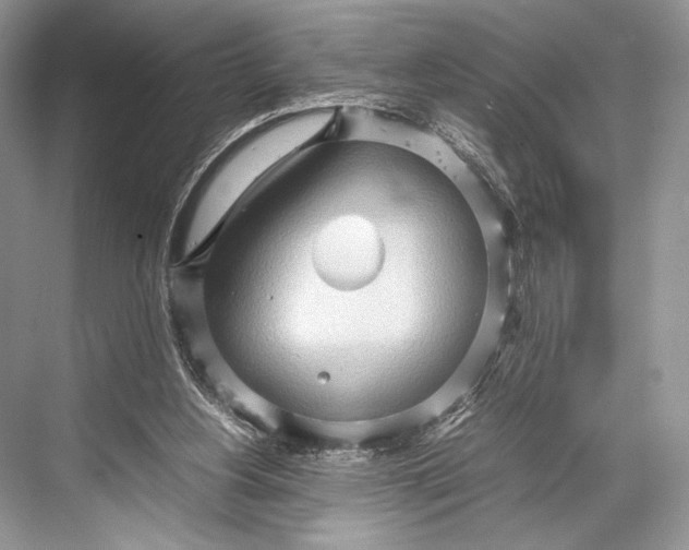 X0000067830156200605041632