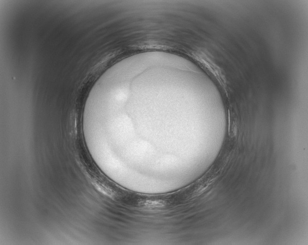 X0000067830157200605041632