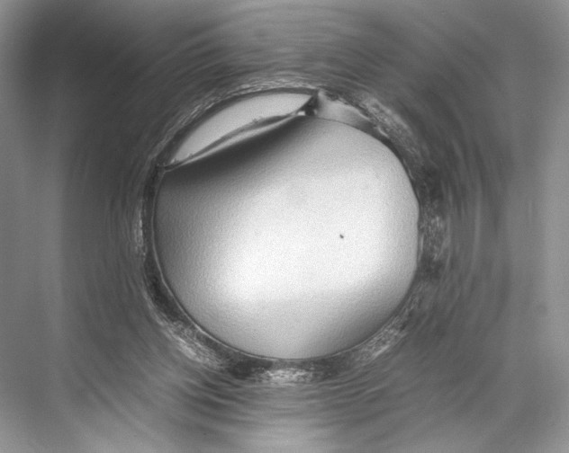 X0000067830158200605041632