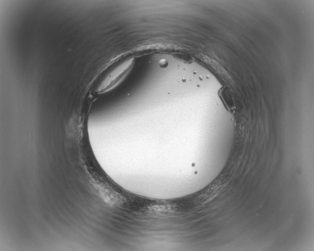 X0000067830160200605041632