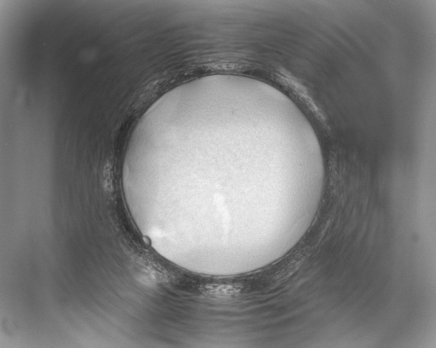 X0000067830161200605041632