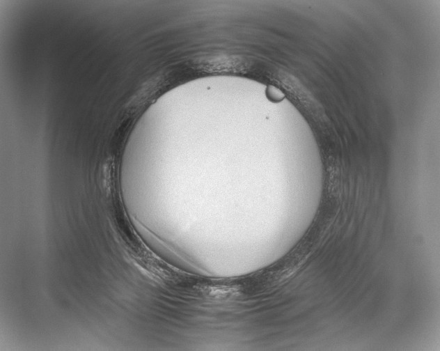 X0000067830165200605041633