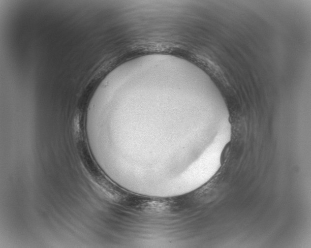 X0000067830166200605041633