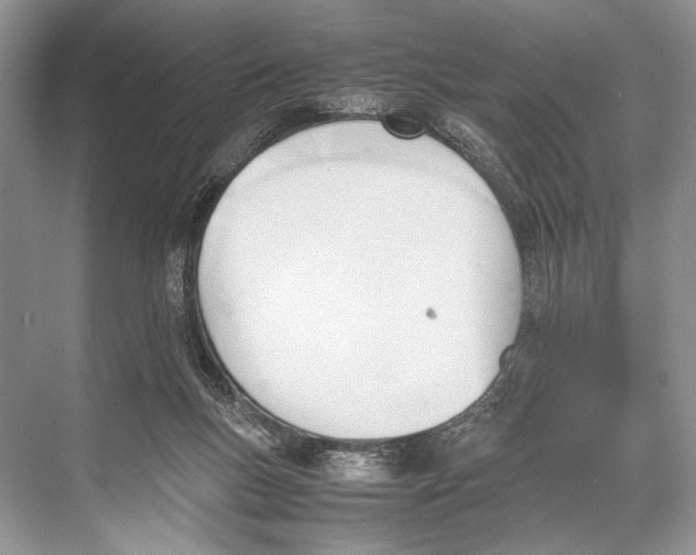 X0000067830167200605041633