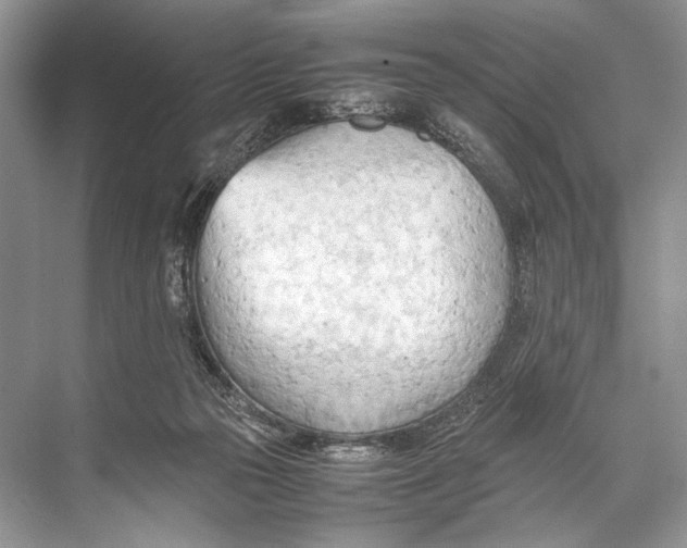 X0000067830169200605041633