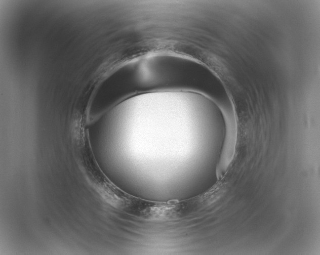 X0000067830172200605041633