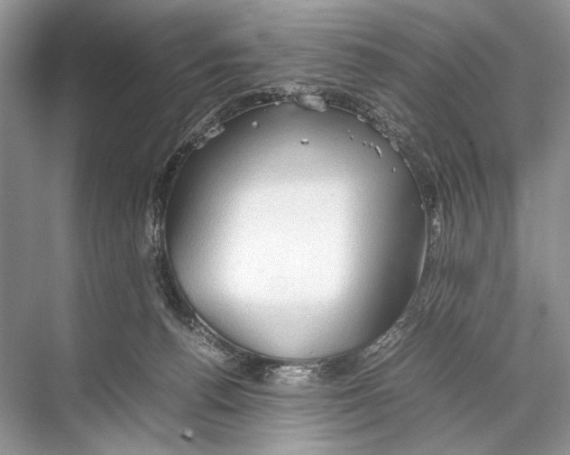 X0000067830176200605041633