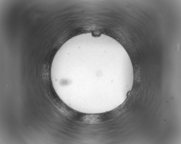 X0000067830179200605041633