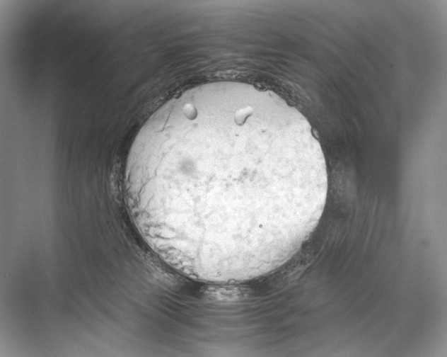 X0000067830181200605041633