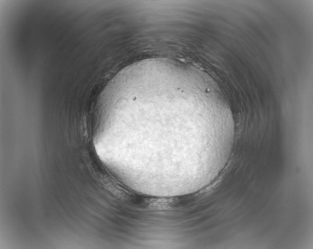 X0000067830182200605041633