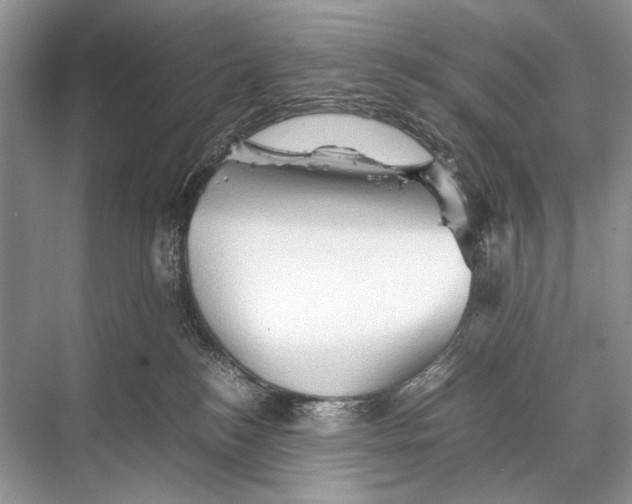 X0000067830184200605041633