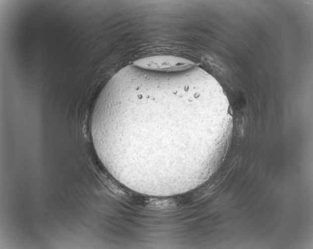 X0000067830185200605041633