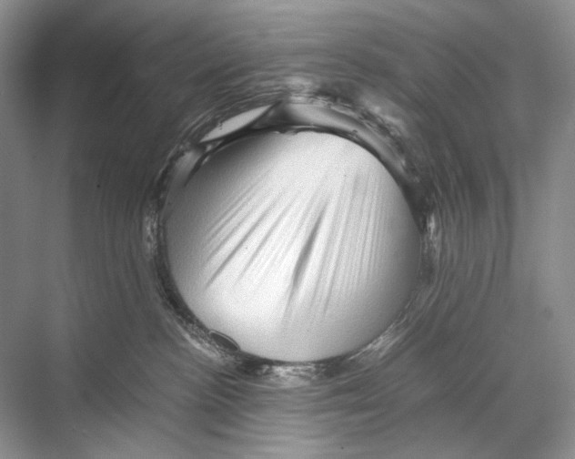 X0000067830188200605041633