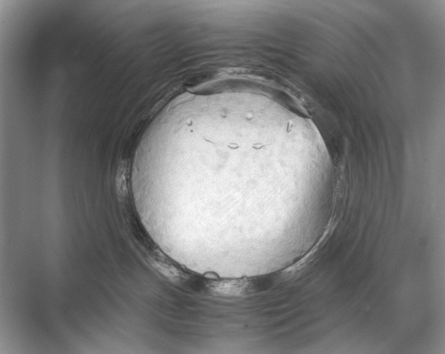 X0000067830191200605041633