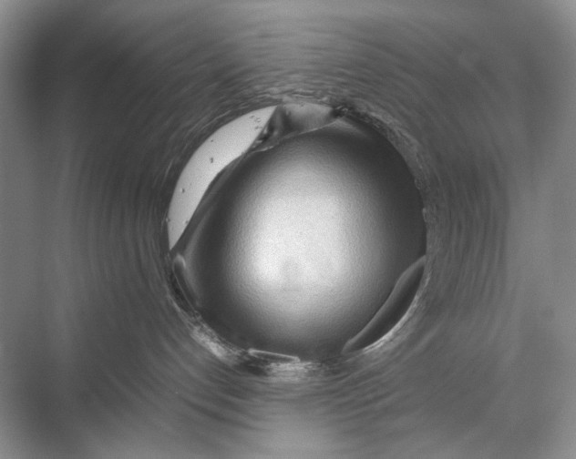 X0000067830192200605041633