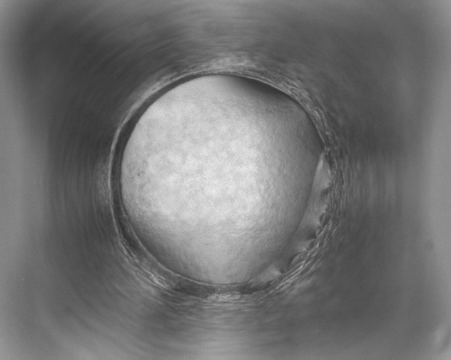 X0000067830196200605041632