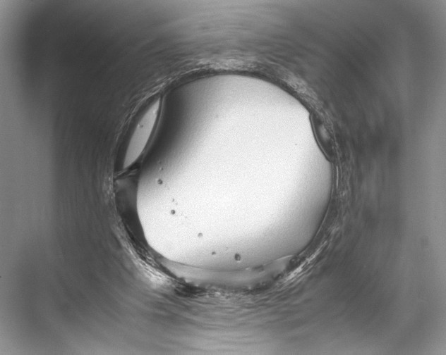 X0000067830201200605041632