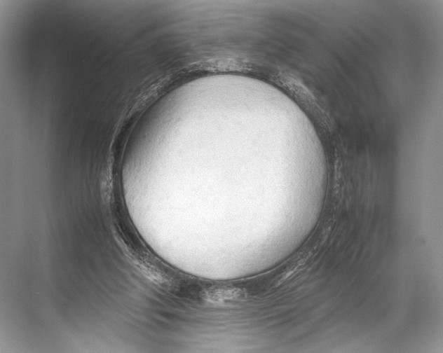 X0000067830202200605041632