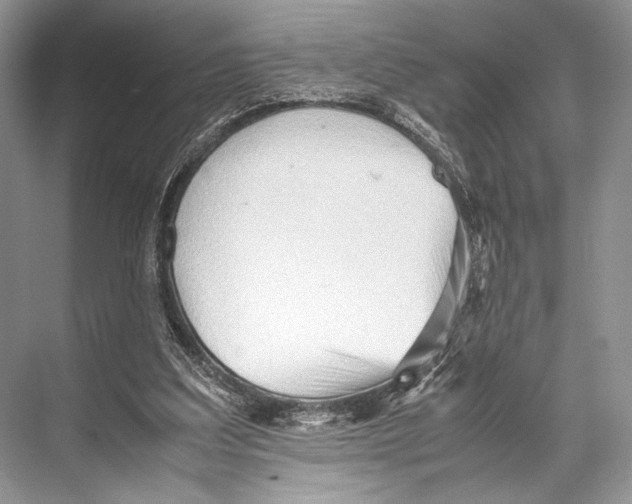 X0000067830203200605041632