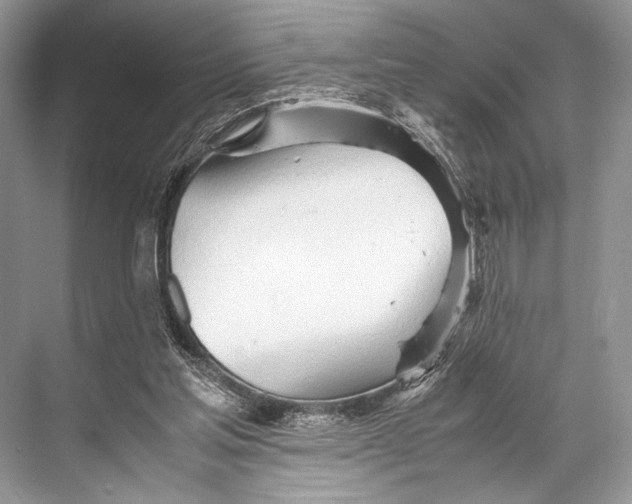 X0000067830205200605041632