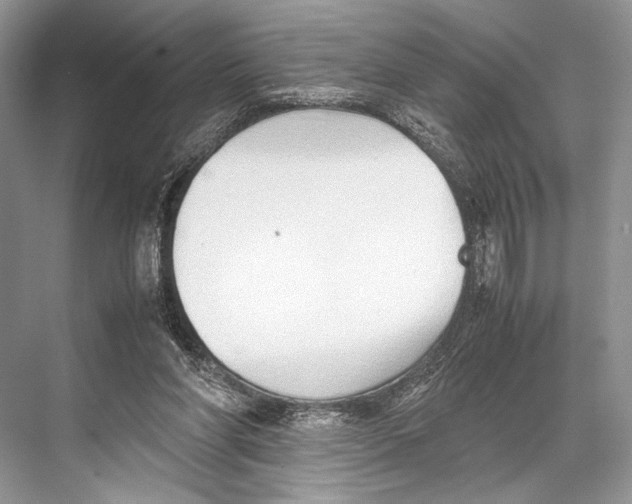 X0000067830206200605041632