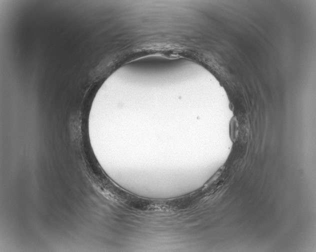 X0000067830207200605041632