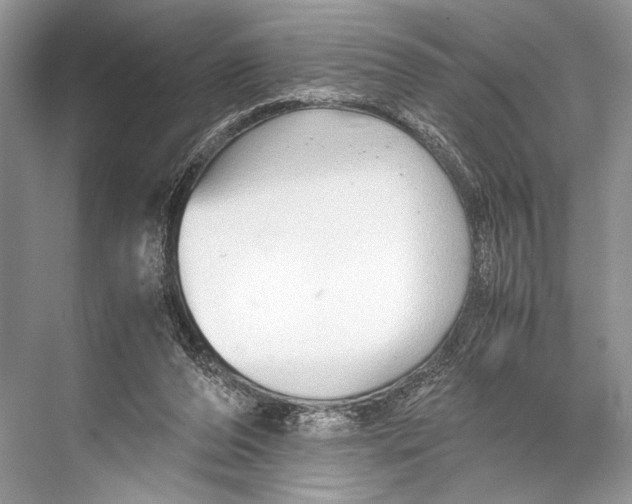 X0000067830208200605041632