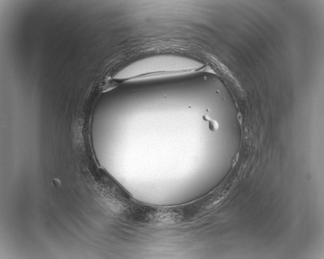 X0000067830209200605041632