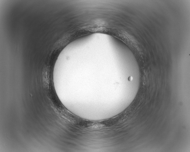 X0000067830210200605041632