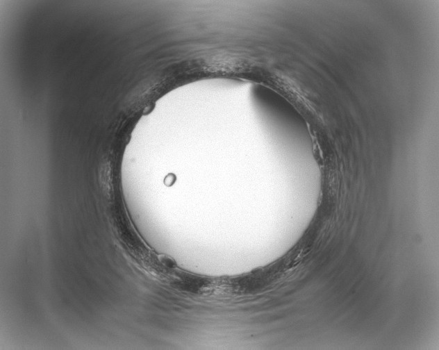 X0000067830211200605041632