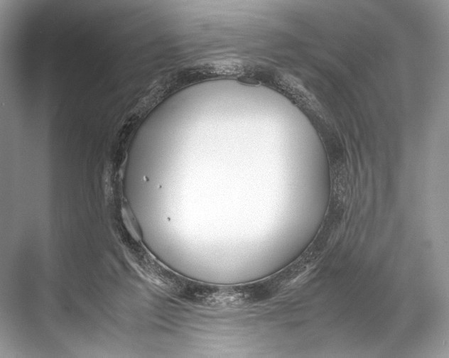 X0000067830213200605041632