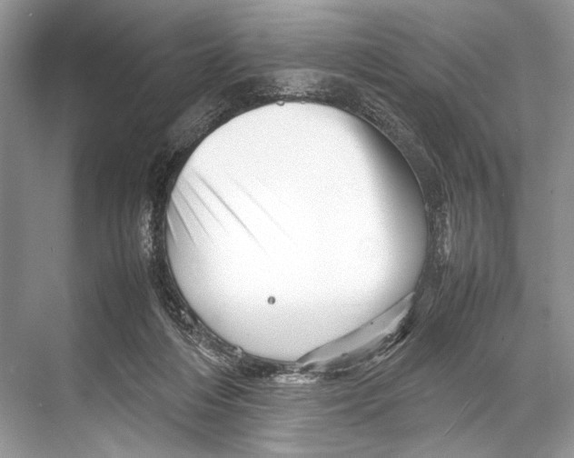 X0000067830216200605041632