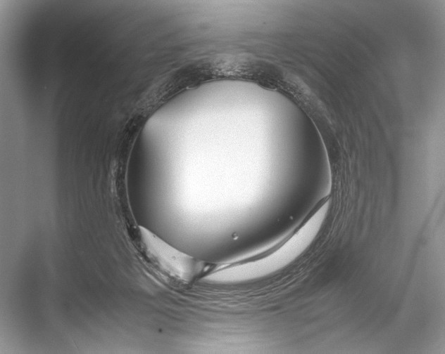 X0000067830217200605041632