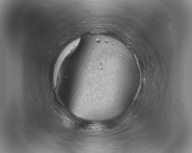 X0000067830219200605041632