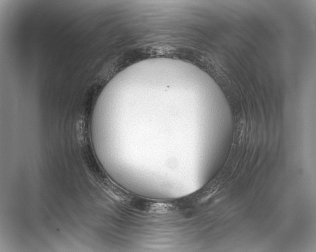 X0000067830222200605041632