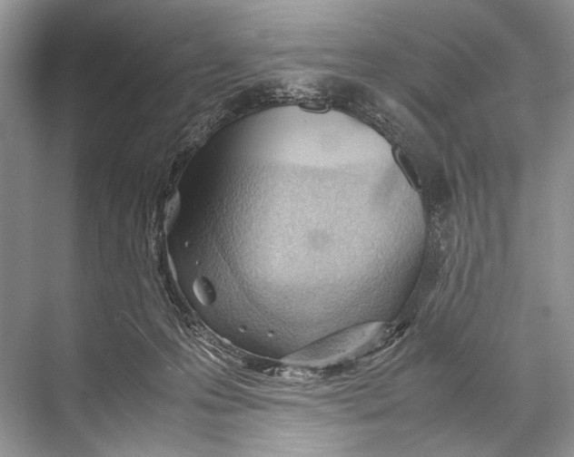 X0000067830223200605041632