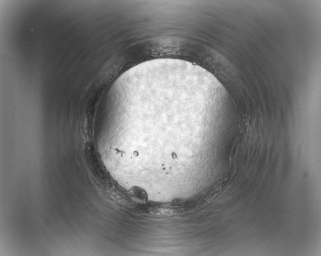 X0000067830224200605041632