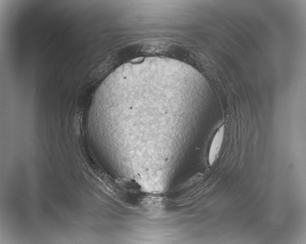 X0000067830227200605041632