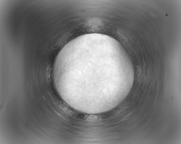 X0000067830230200605041632