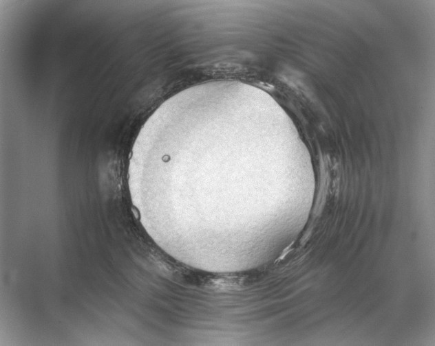 X0000067830232200605041631