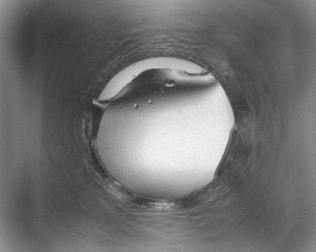 X0000067830233200605041631