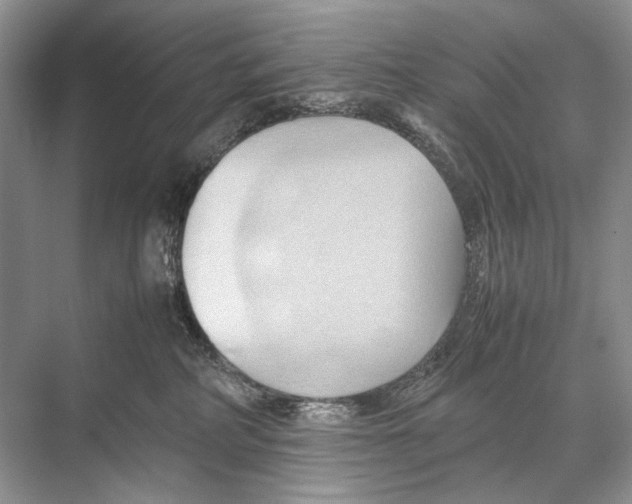 X0000067830234200605041631