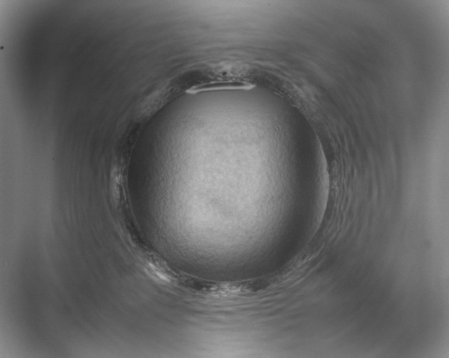 X0000067830235200605041631