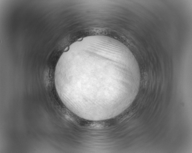 X0000067830236200605041631