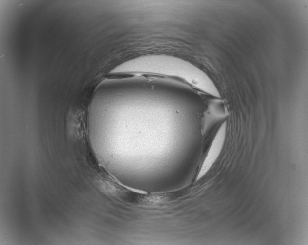 X0000067830237200605041631